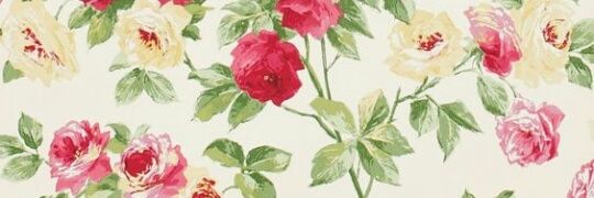 FlorSatrustegui's profile banner image