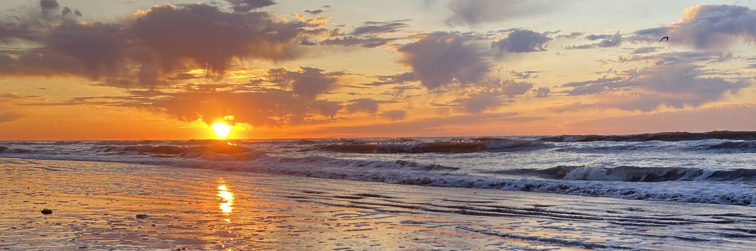 allisunshine2's profile banner image