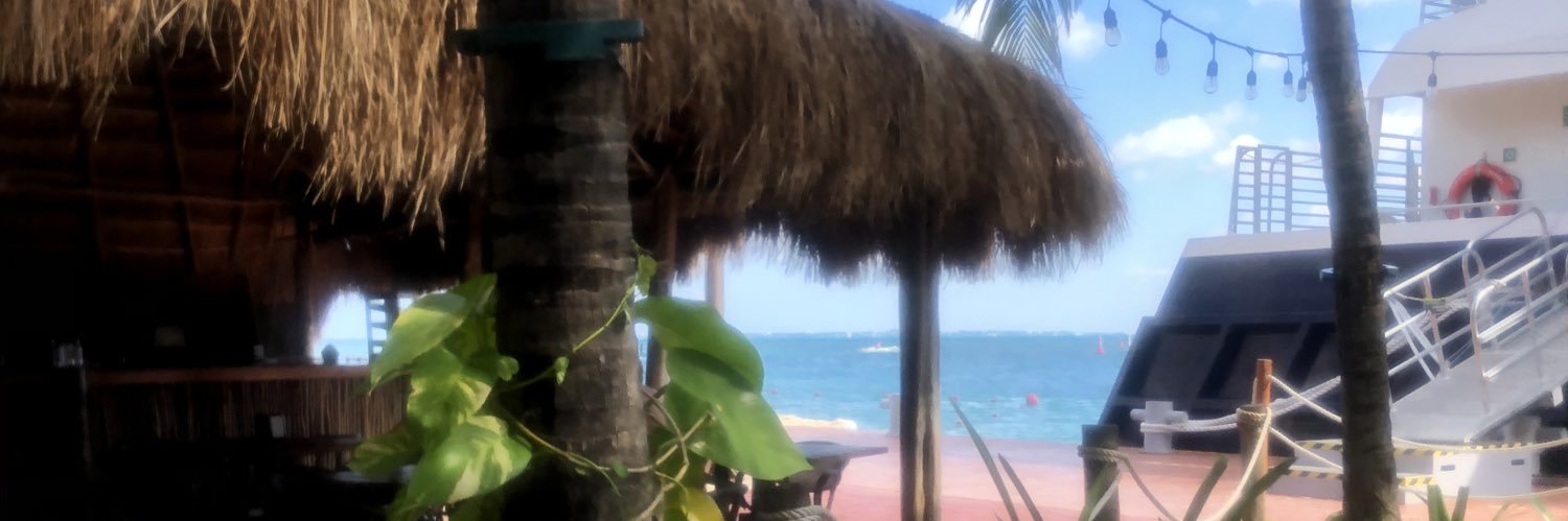 elmeshke's profile banner image
