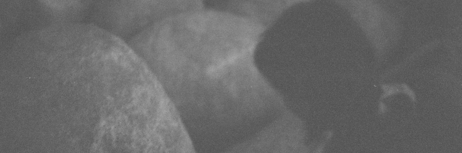 leahhmo's profile banner image