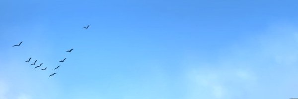 Cromirz Profile Banner