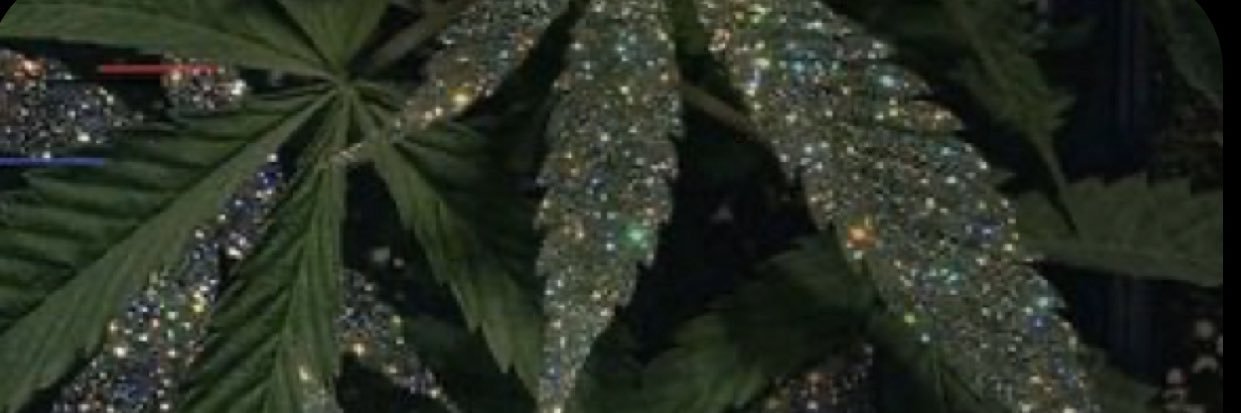 oddbunn's profile banner image