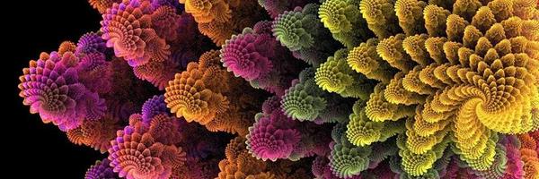 circulare Profile Banner