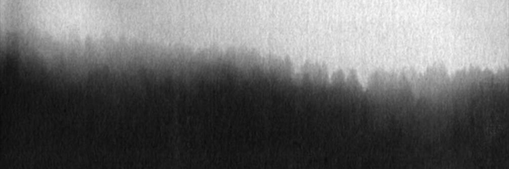 perpetuummedium's profile banner image