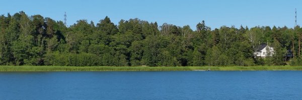 leetiletizia Profile Banner
