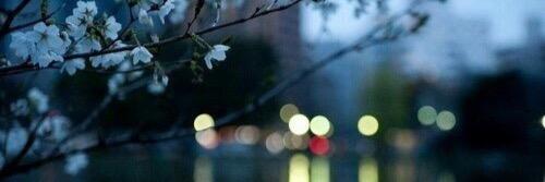 5abaia8_8's profile banner image