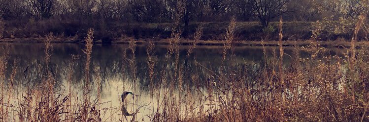 michaelbecker05's profile banner image
