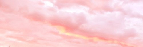 julifernann's profile banner image