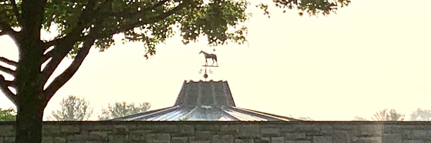 Cormac Breathnach banner