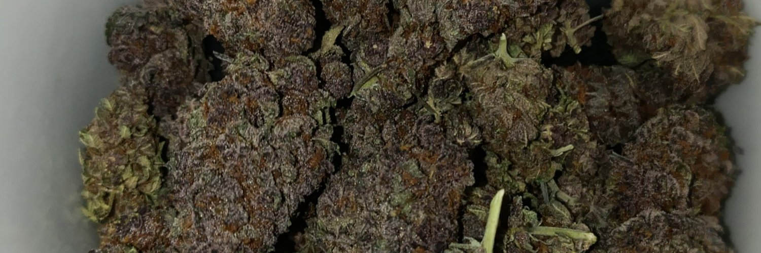 mxlak666's profile banner image