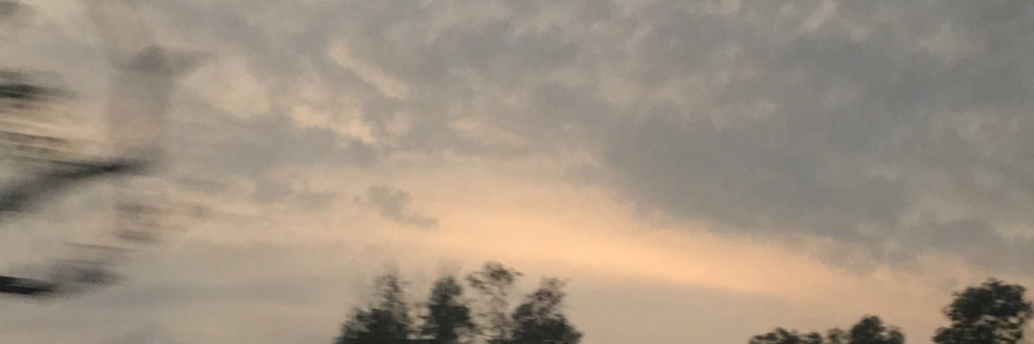 H banner