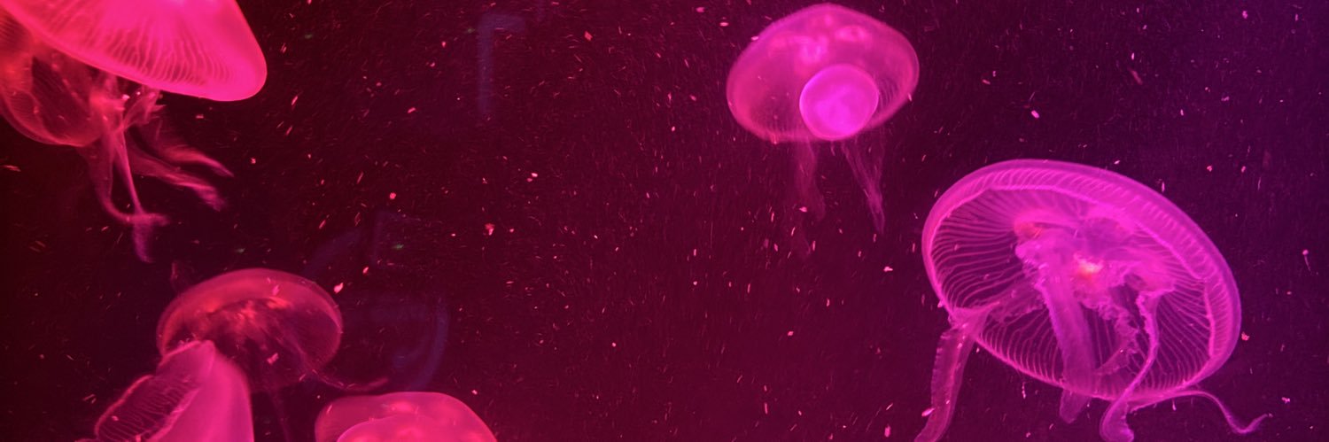 sadlynatalie's profile banner image