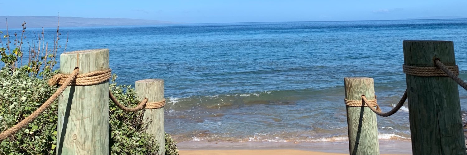 Sandra Lewandowski banner