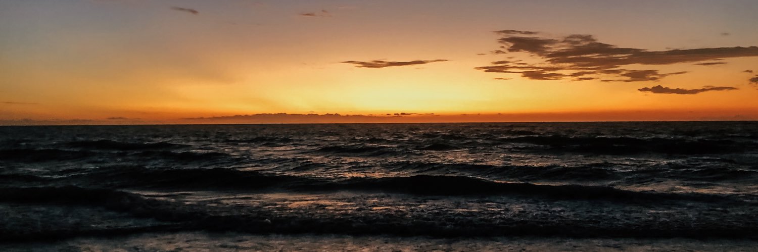 CesiaSCalvo's profile banner image