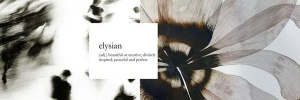 spid3rrwb Profile Banner