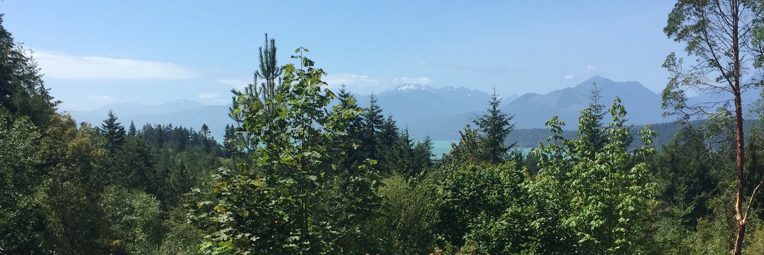 ItsCarsonReid's profile banner image