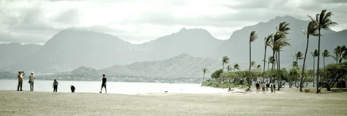 drlamer's profile banner image