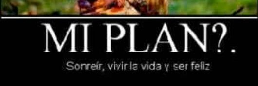pao0765's profile banner image