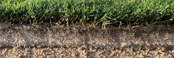 WinsteadMatrix Profile Banner