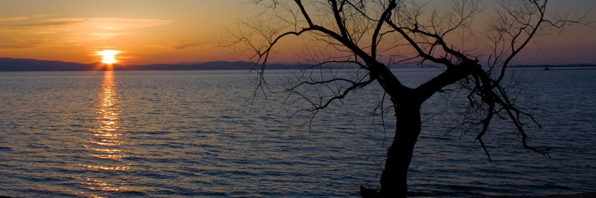 dcristelli's profile banner image
