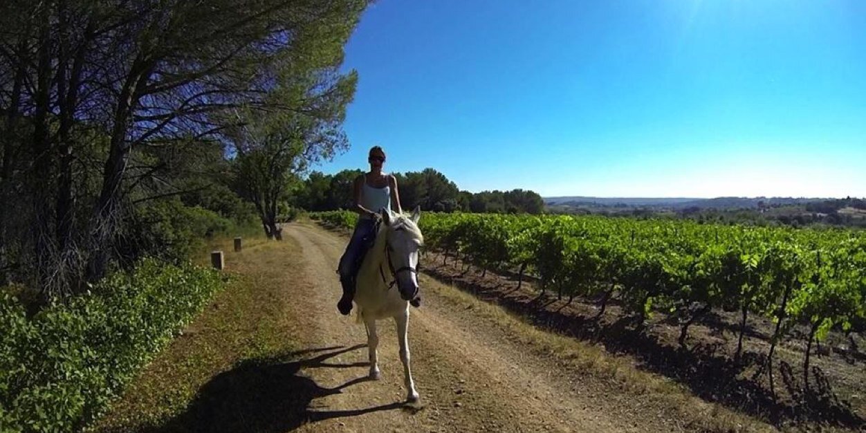 Barbara🌼🐴 banner