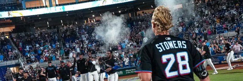 #1 Tyler Phillips fan banner