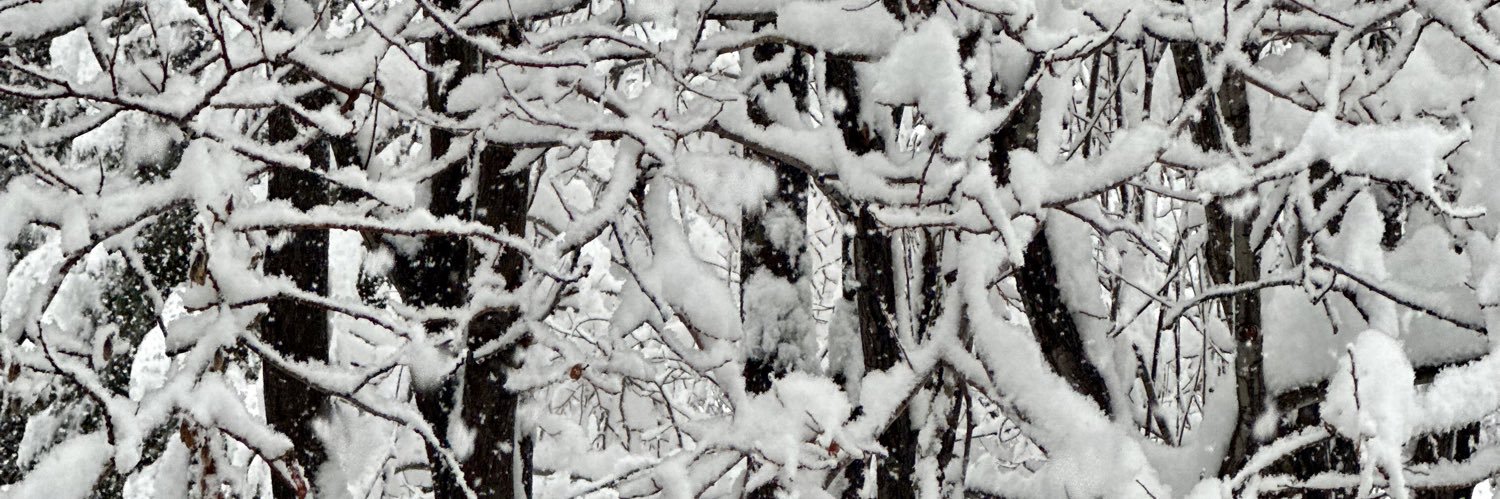 Incline Snow Report - Told by White Claw banner