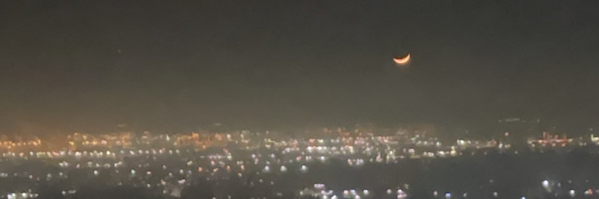 lailamyoussef's profile banner image