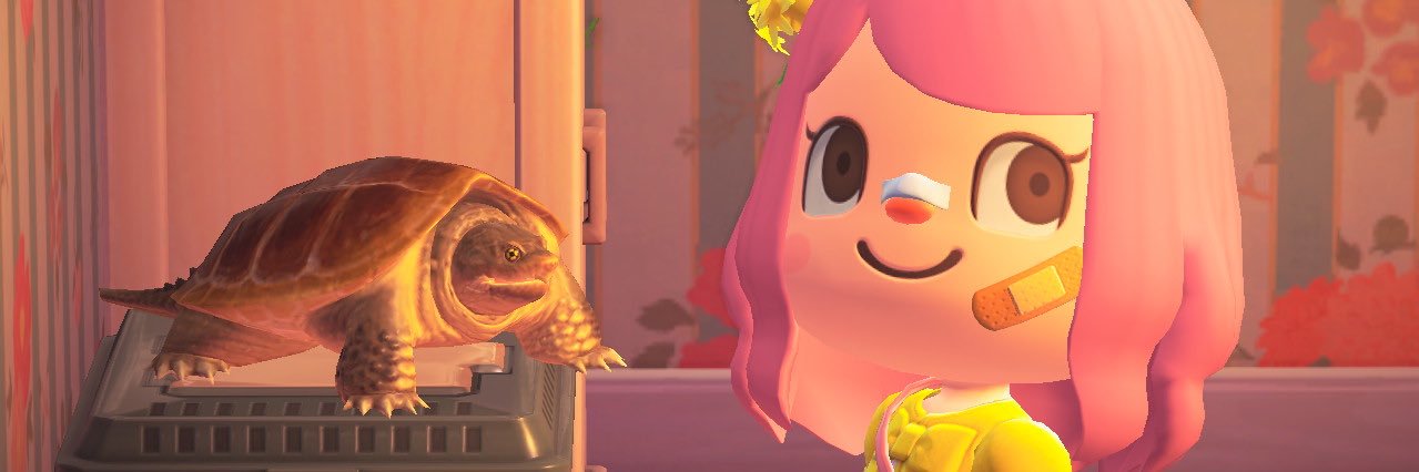 Punkpoptart's profile banner image