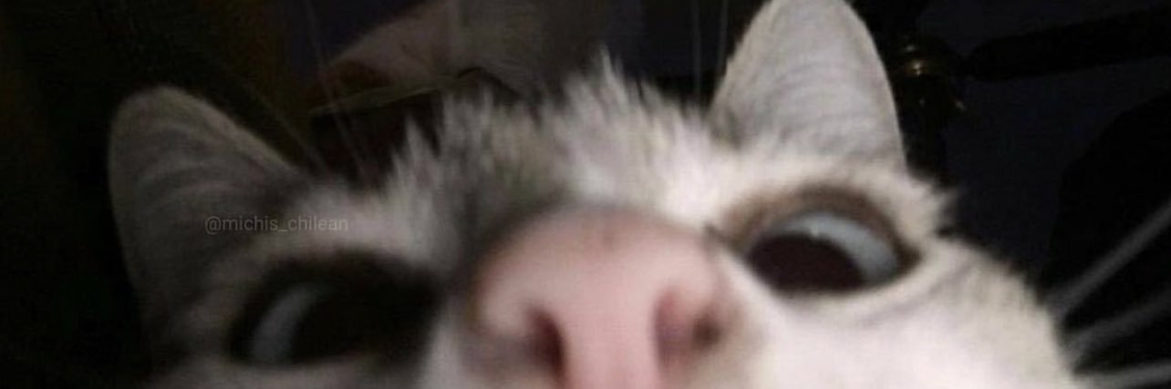 wends_lop's profile banner image