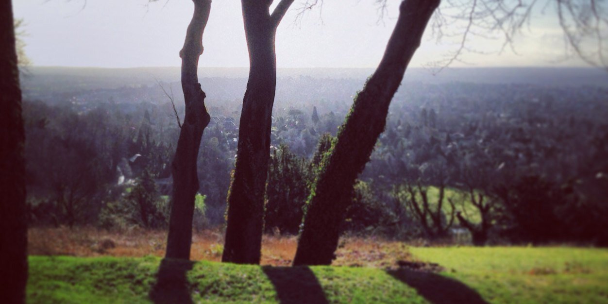 EmmaLFox's profile banner image