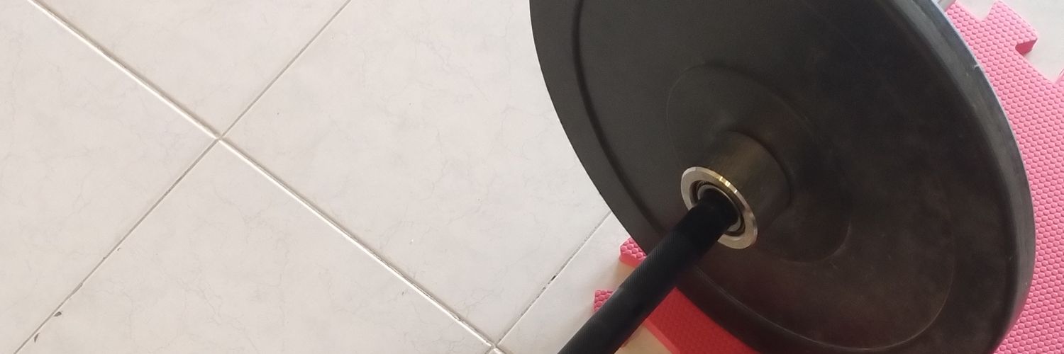 AnabelV02's profile banner image