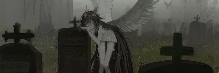 BerryFan123's profile banner image