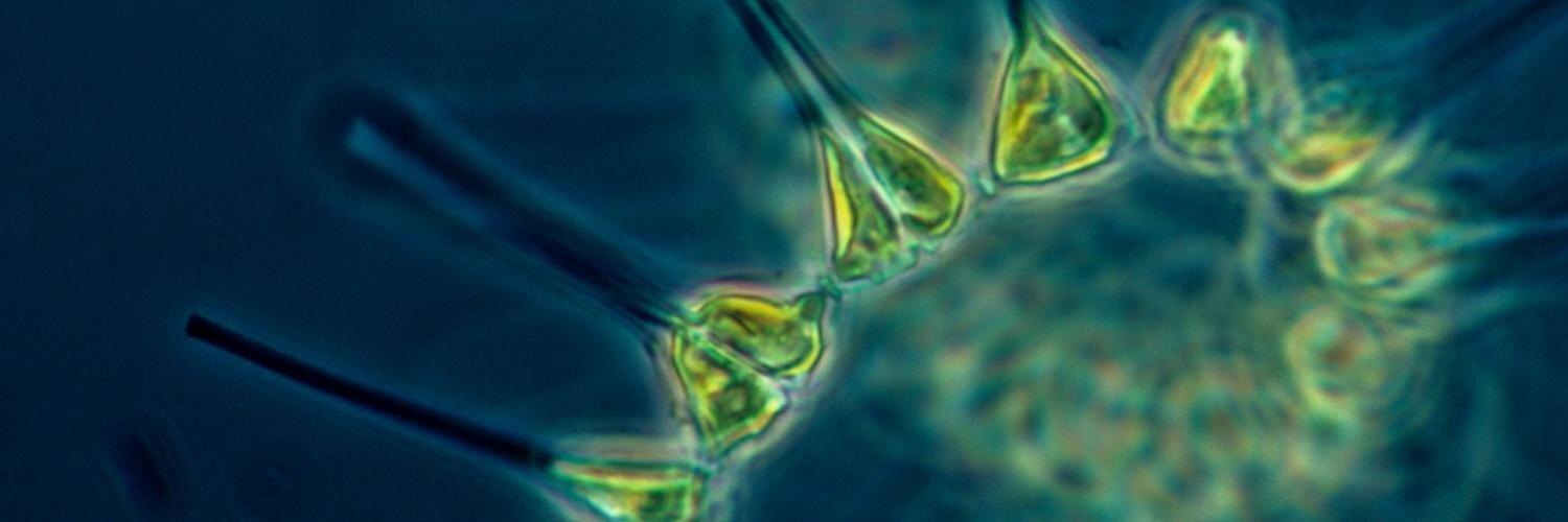 Ondřej Vrtiška banner