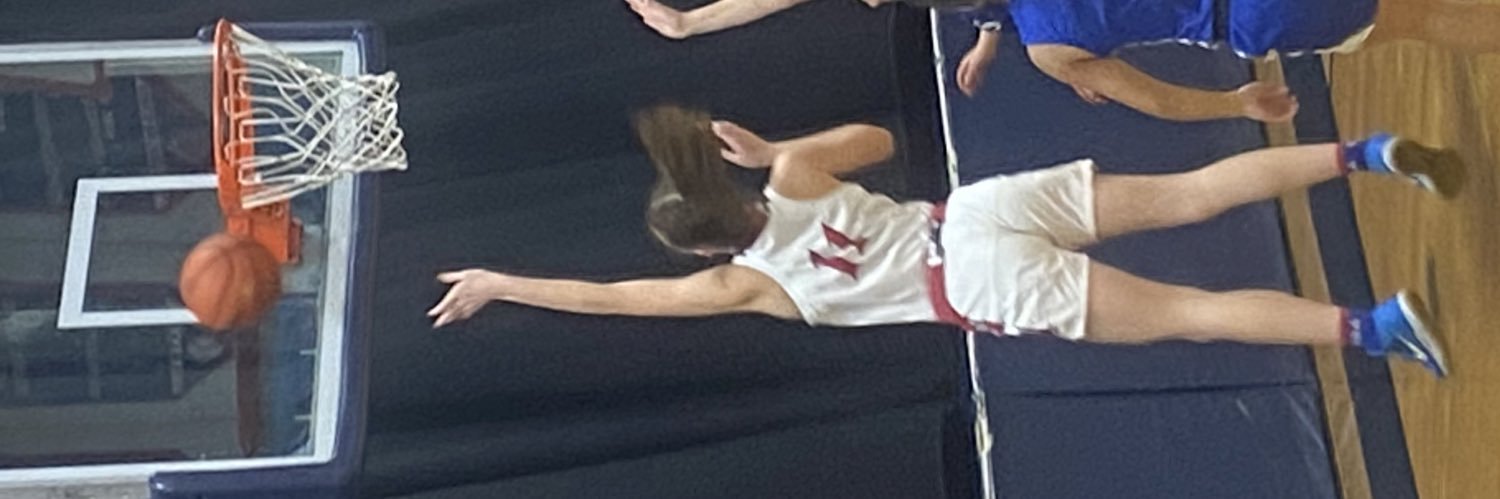Alison Bush banner