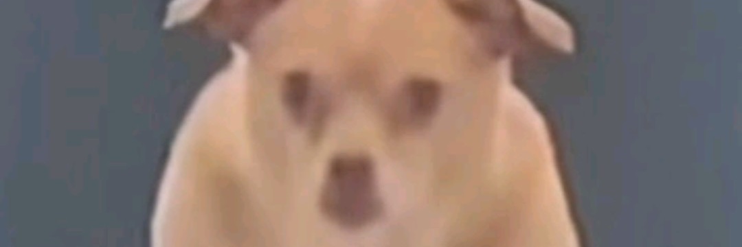 RigFog's profile banner image