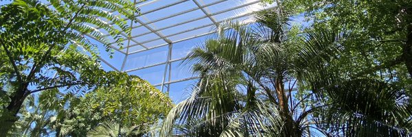 micro_rach Profile Banner