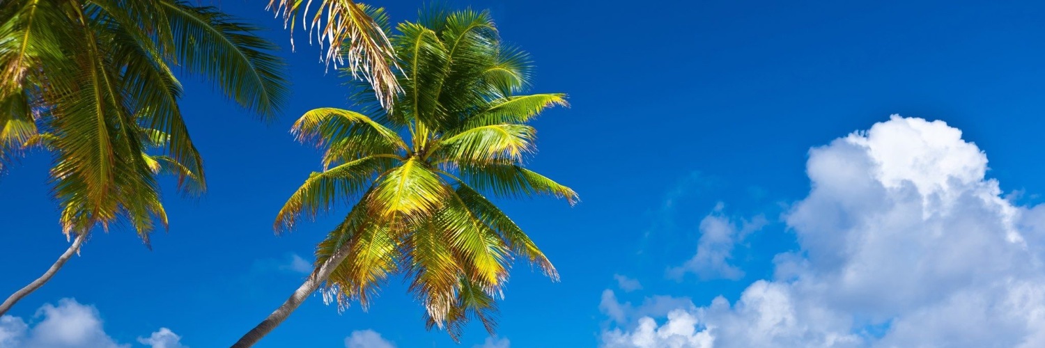 LexioBUSA's profile banner image