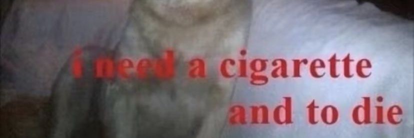 bootysnatches 4 ever banner