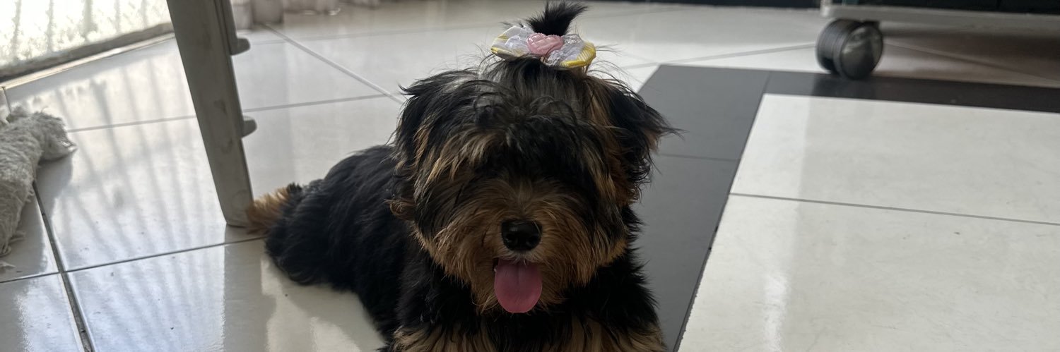 FILHA DA MÃE DE TODAS AS MÃES 💙🪇 banner