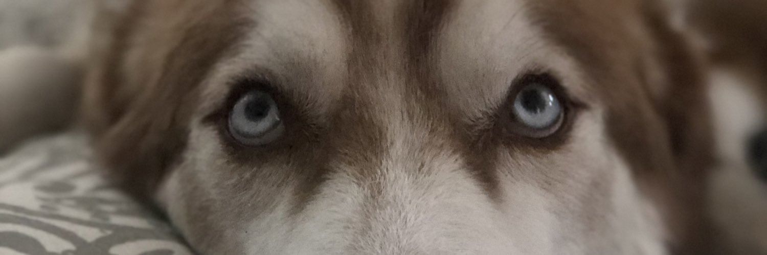 jake_milch's profile banner image