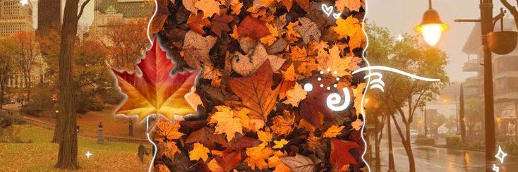 aeetheris's profile banner image
