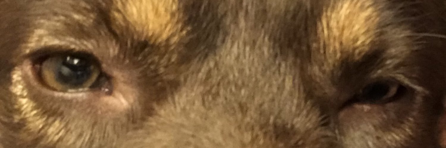 _KalebCollins_'s profile banner image