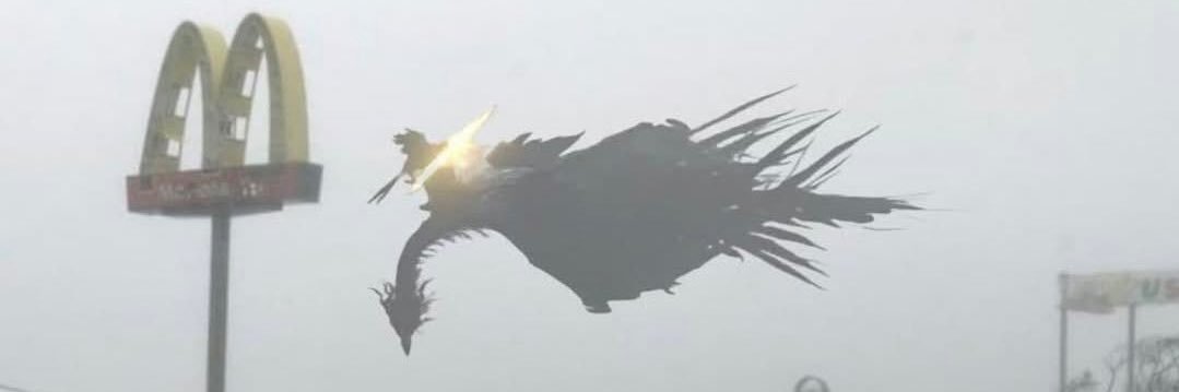 WinaYolo's profile banner image