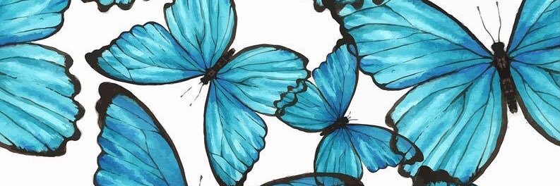 ksteiniger01's profile banner image