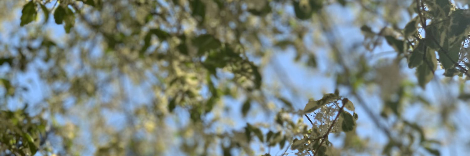 thatchickIZZIE's profile banner image