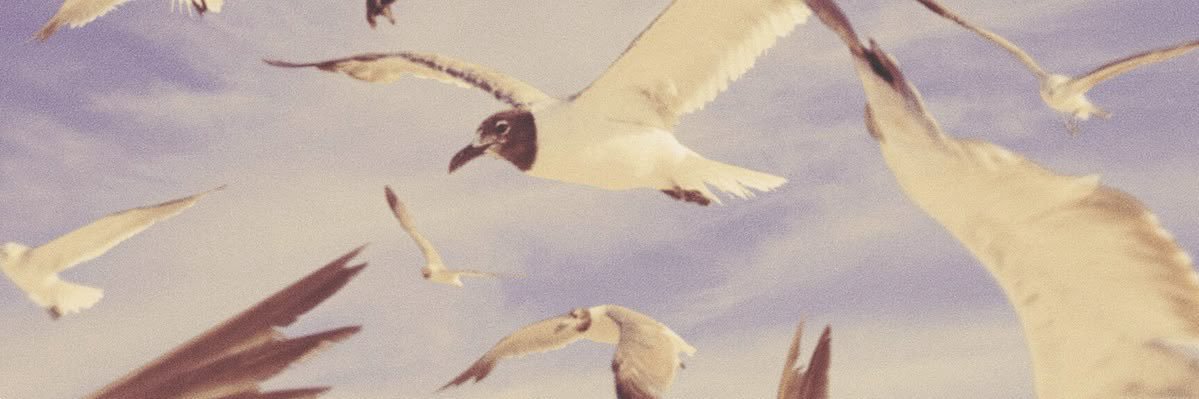jeffbeingjeff's profile banner image