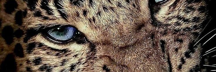— 𝓜𝓪𝓻𝓲𝓪 banner