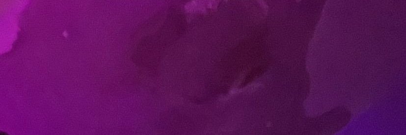 LavenderSpades's profile banner image