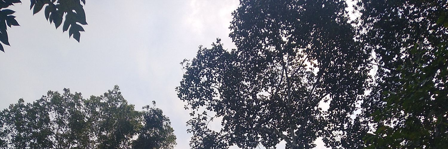 Raisa Bastian banner